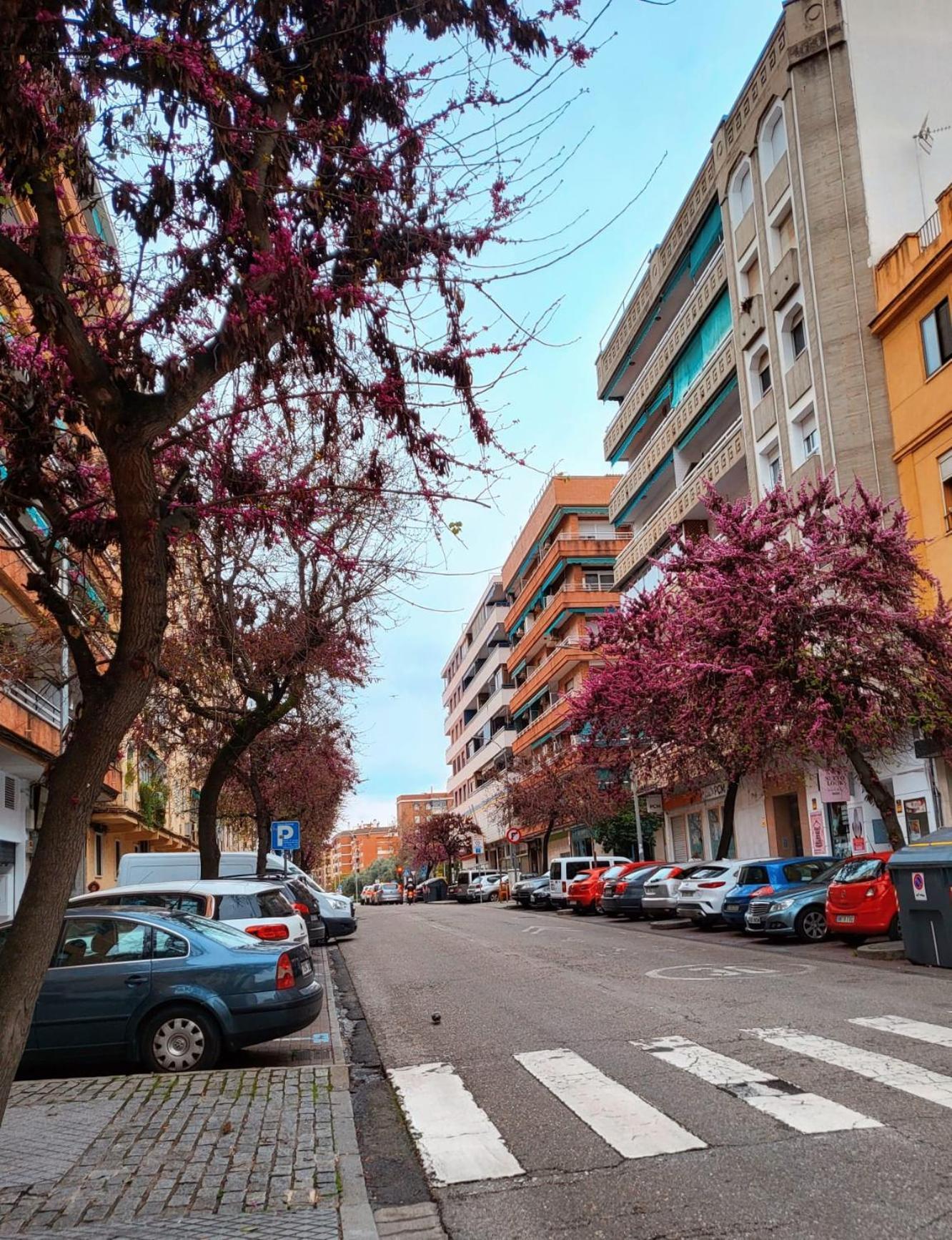 Apartamento Vintage 2 Córdoba